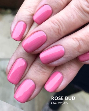 ROSE BUD
